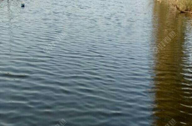 丰沛运河桥野河