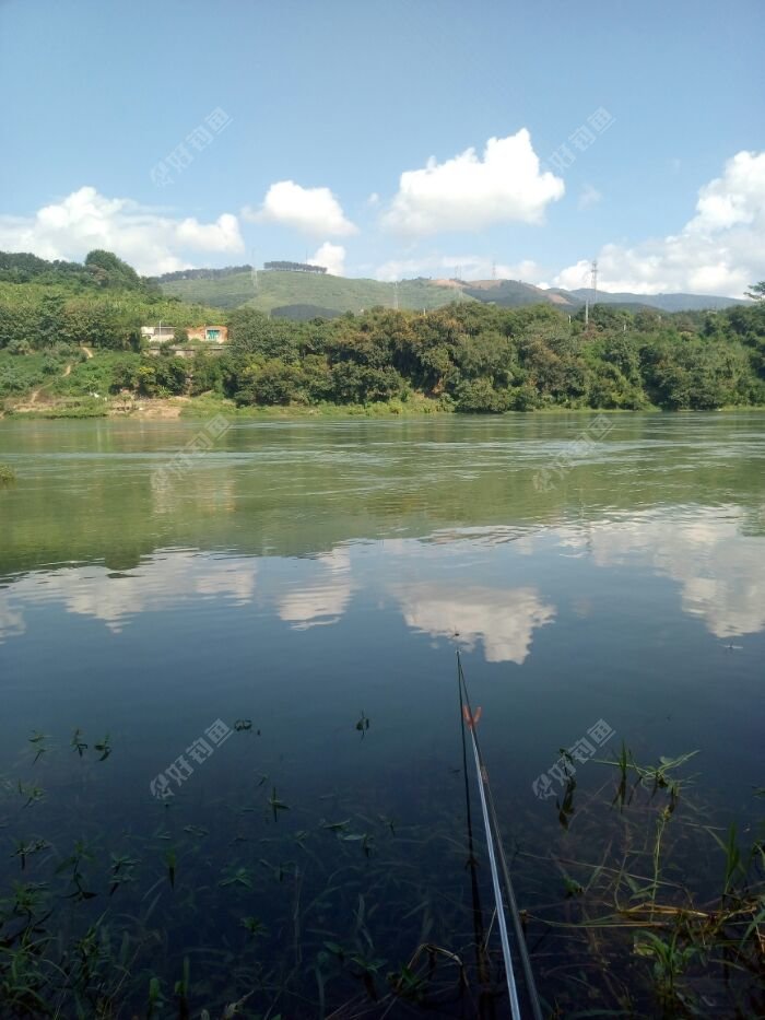 我的钓点澜沧江主河道边上,水流比较急 我的钓点澜沧江主河道边上,水流比较急