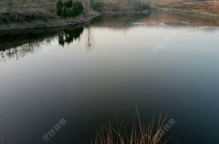 殷家坪村鱼塘