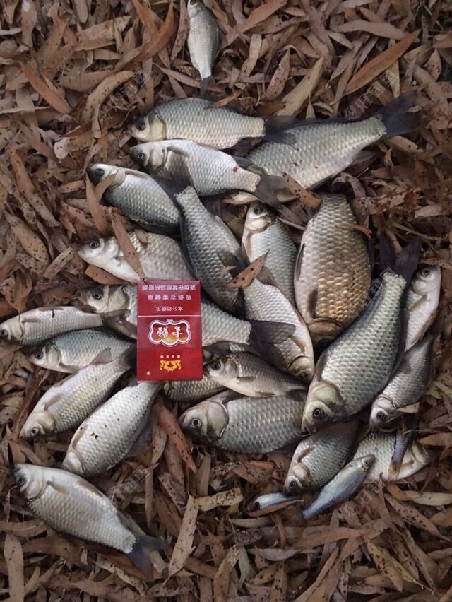 CNKJSWKZ.jpg CNKJSWKZ.jpg