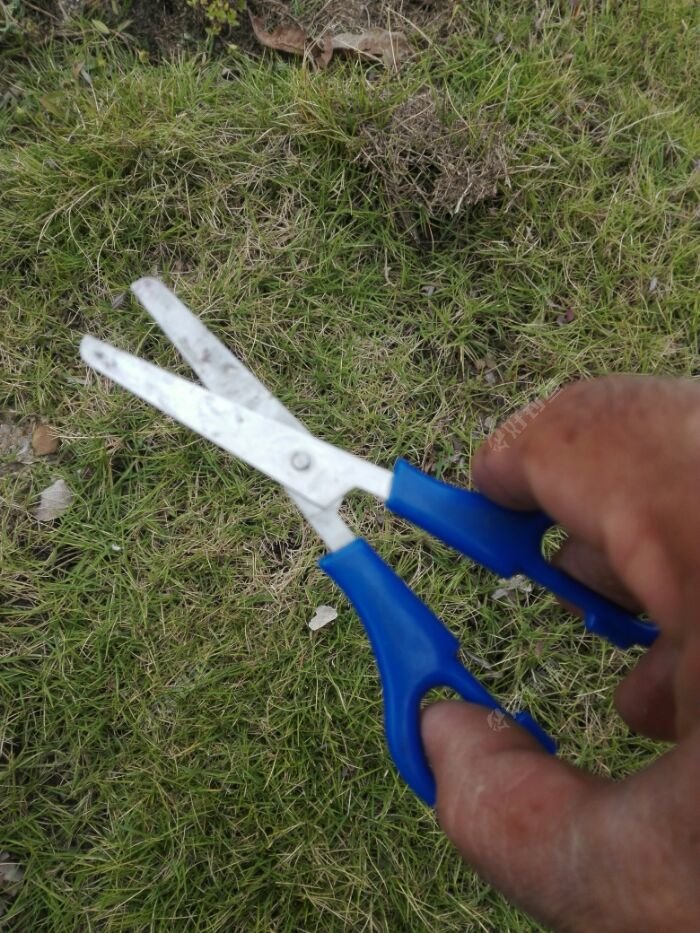 只能出此下策了