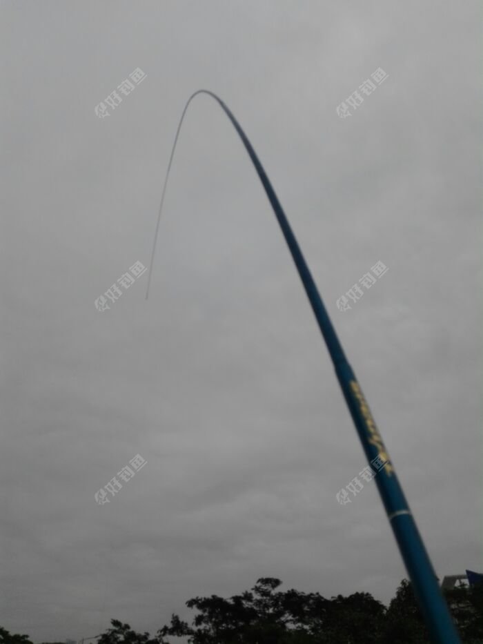 漂亮的弯弓人人爱