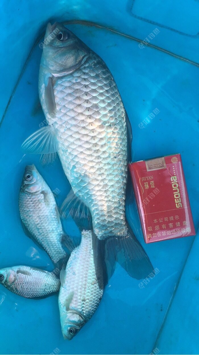 QRCKWKVT.jpg QRCKWKVT.jpg