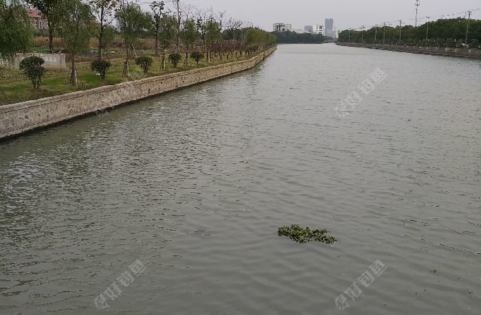 星塘街河