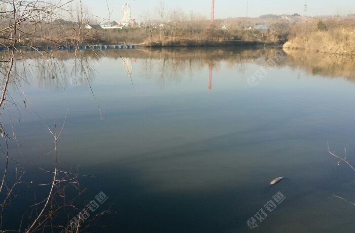 费家官庄垂钓园