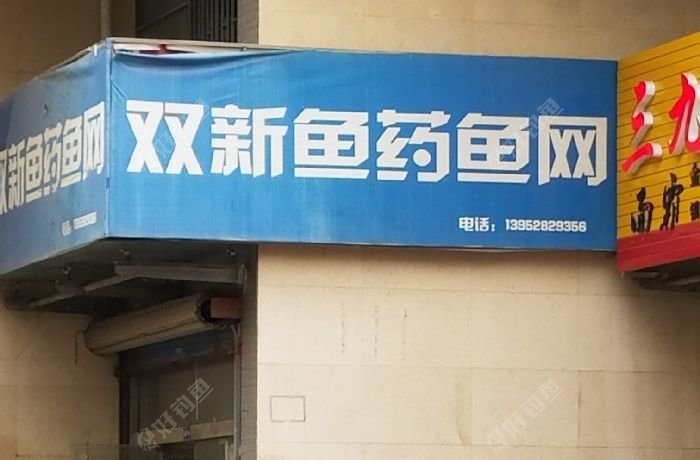 双新鱼药鱼网