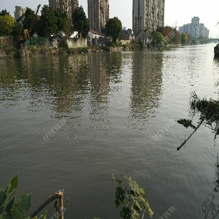 西郊枫林苑钓场