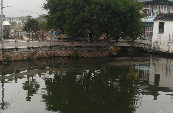 西桥老年活动中心旁边