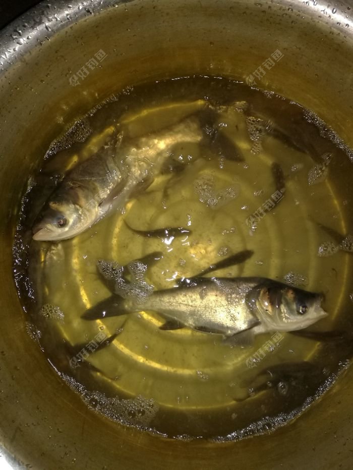 回家都黑了，闪光出来的效果