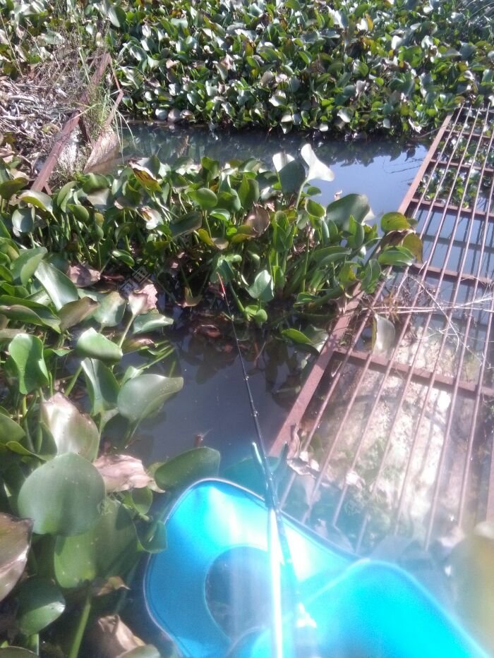 杆肖微微下弯点就好,子线长可以弯大点
