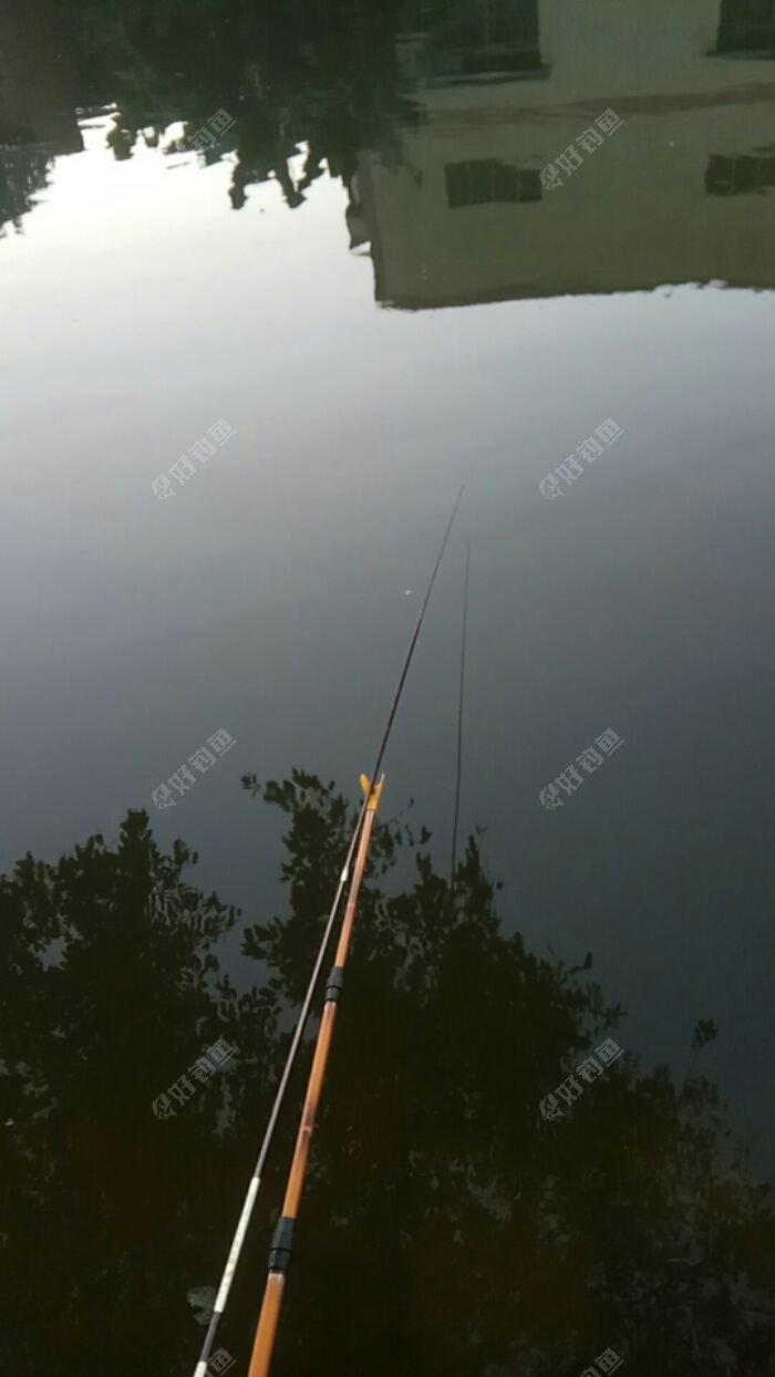 wx_camera_1513589904943.jpeg