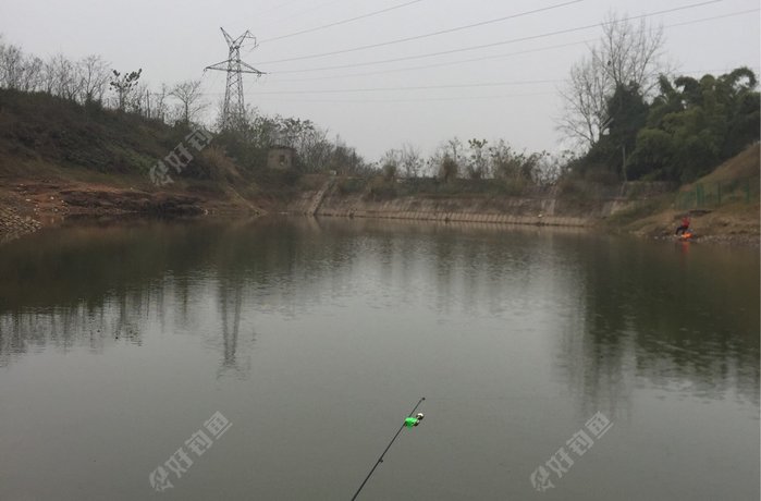 文峰野塘（蓝莓基地）