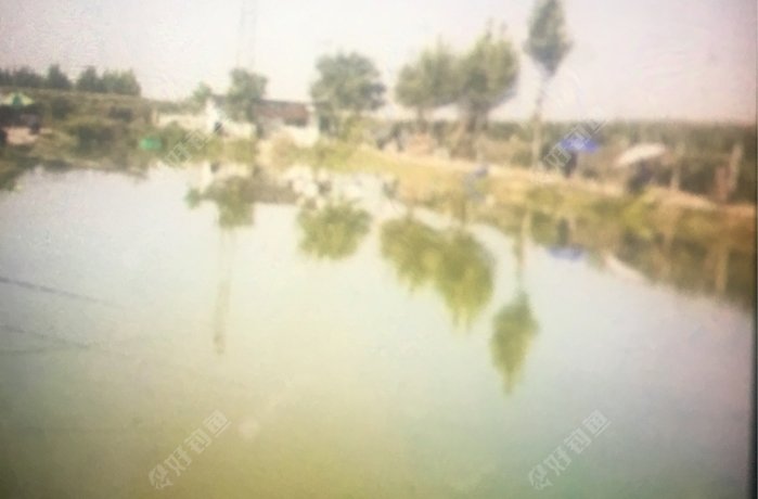 玉成生态垂钓园