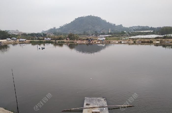 厦门渔跃钓鱼场