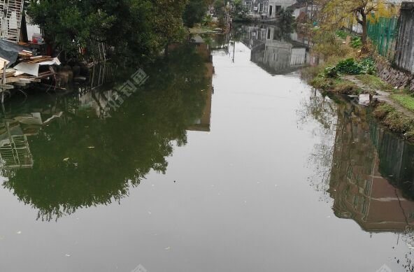 老林汽车维修中心旁边