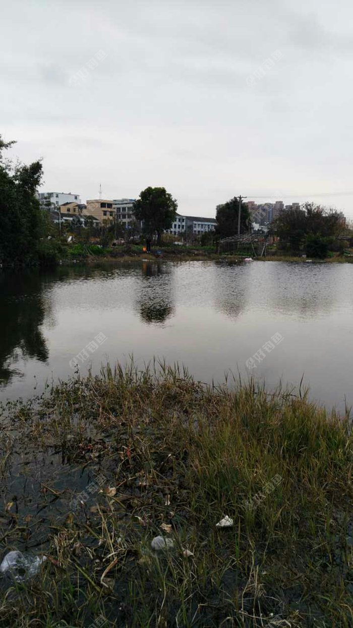 站前小区前的野河