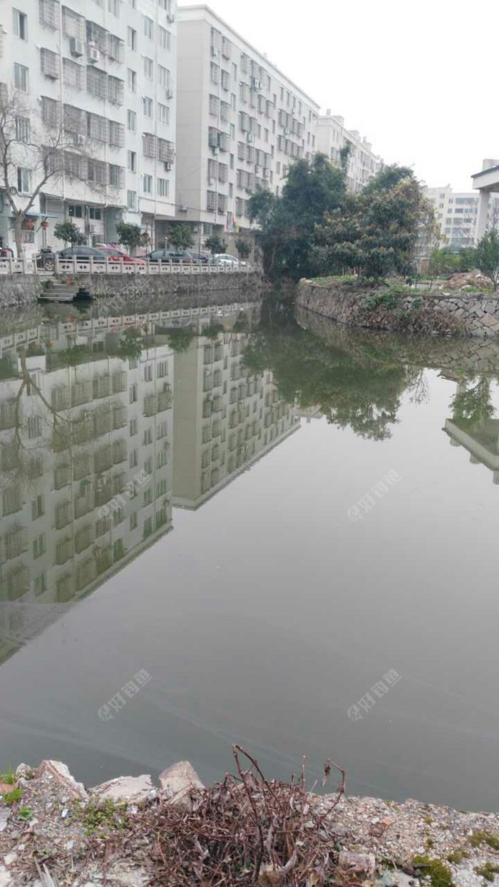 衣特诺前面野河