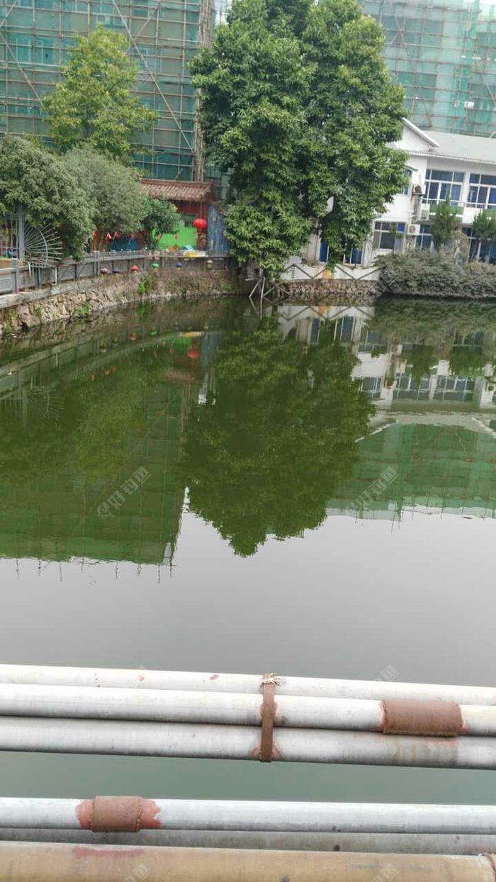 爱贝尔儿童之家旁边野河