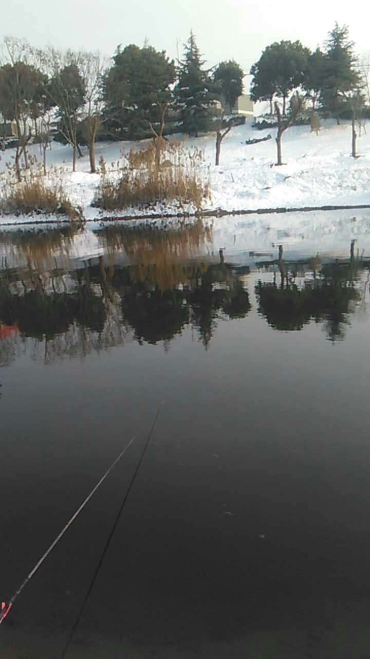 明珠大洒店淝河桥