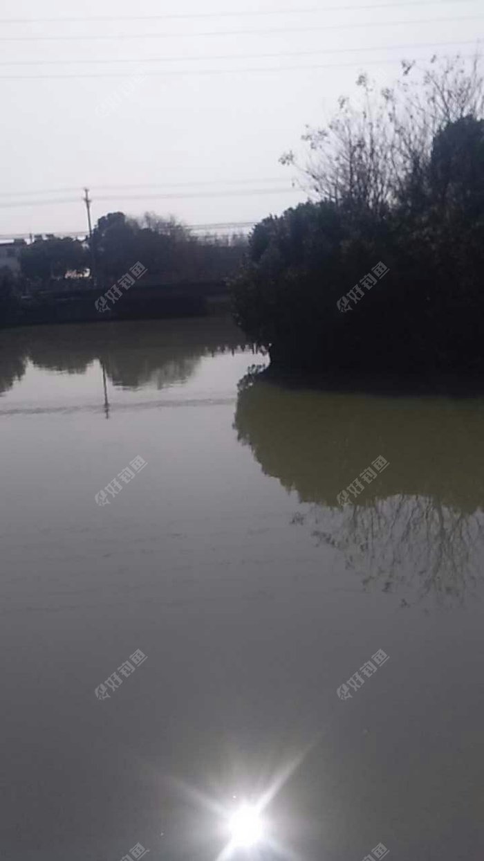 城南花苑，联杨路