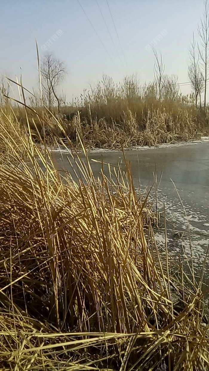 陶家堤口邻村水库