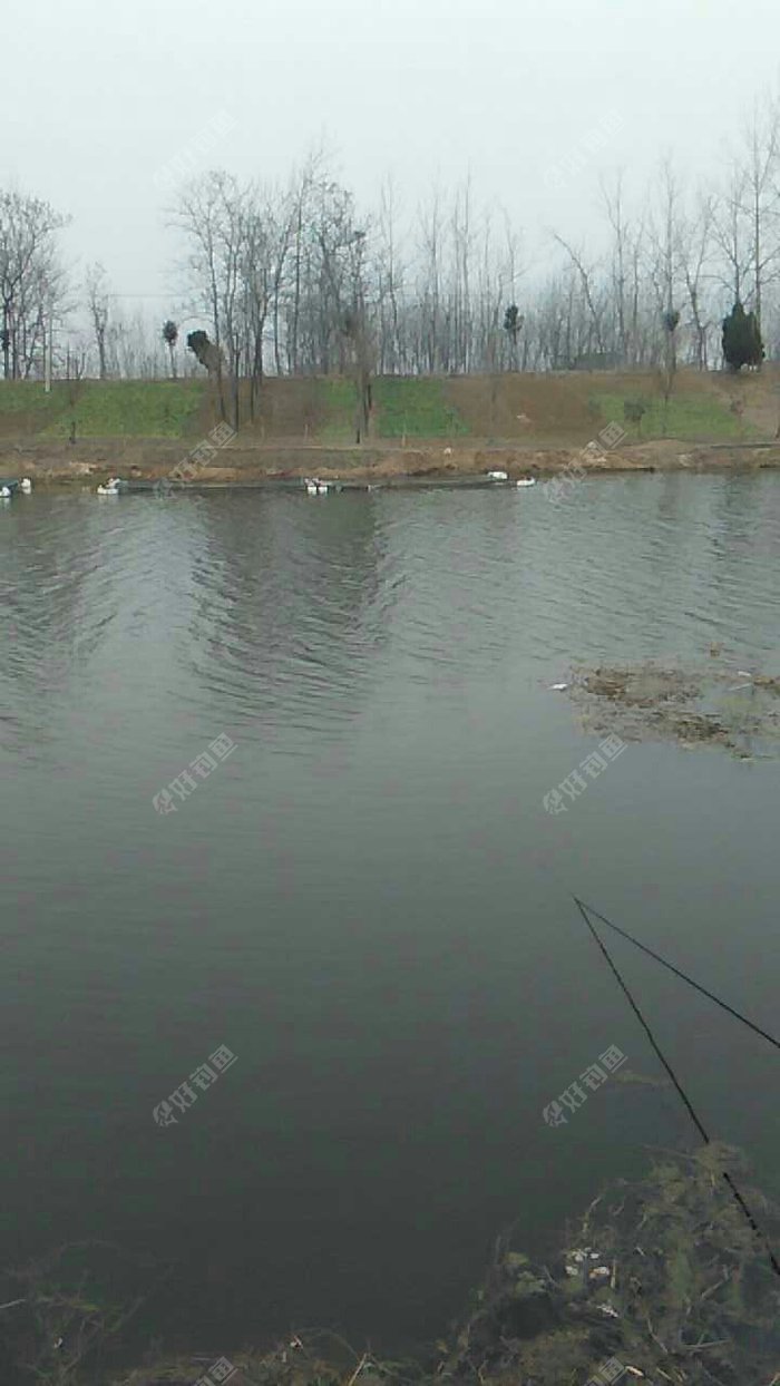 小李庄钓场