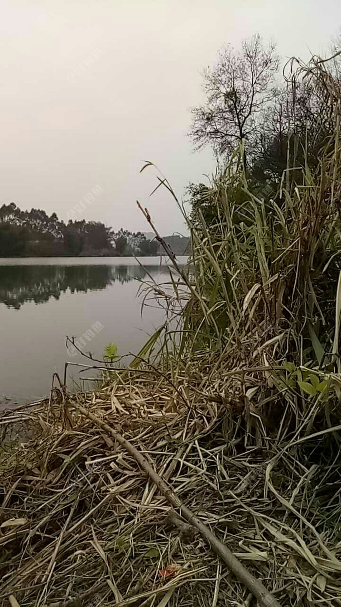 洛寿水库长岭钓点