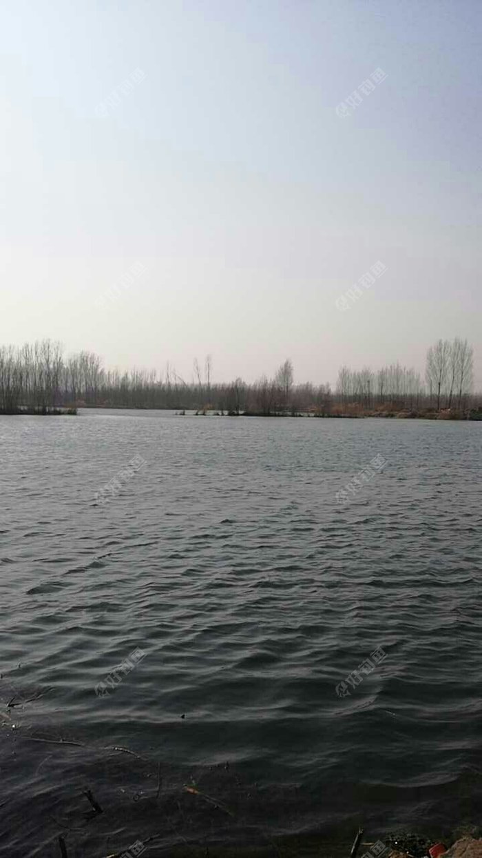 肥城渣子山塌陷区