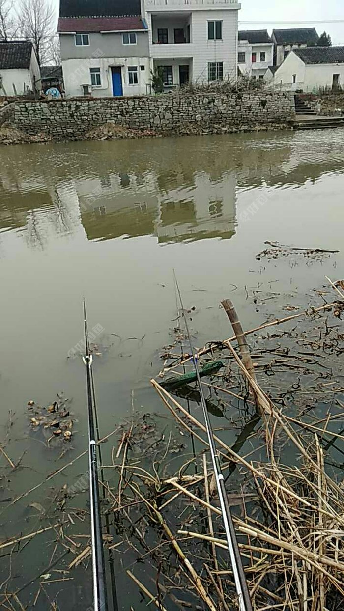 野河