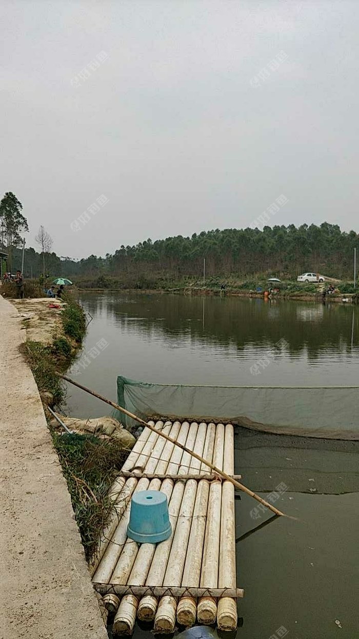 博白县旺茂镇秀佳冲4589休闲农庄钓场