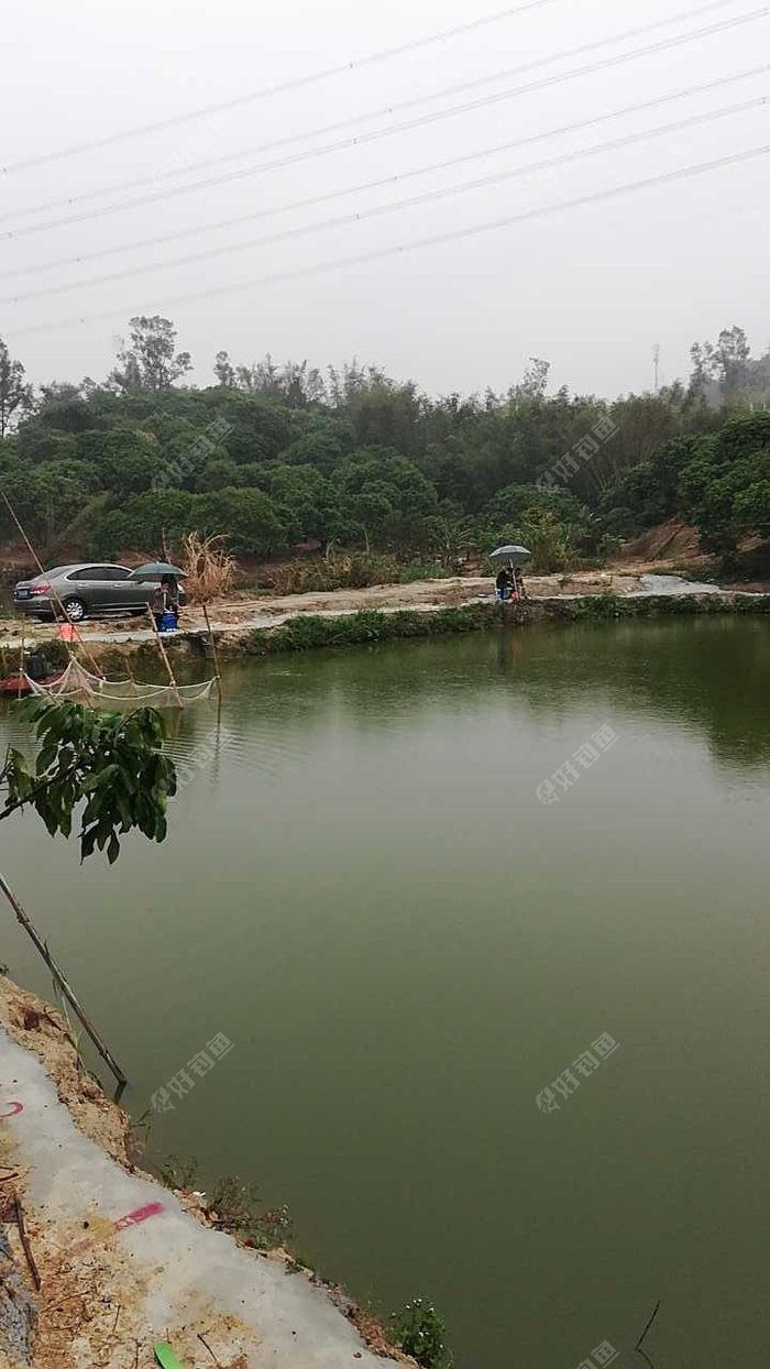 狮群村钓鱼场