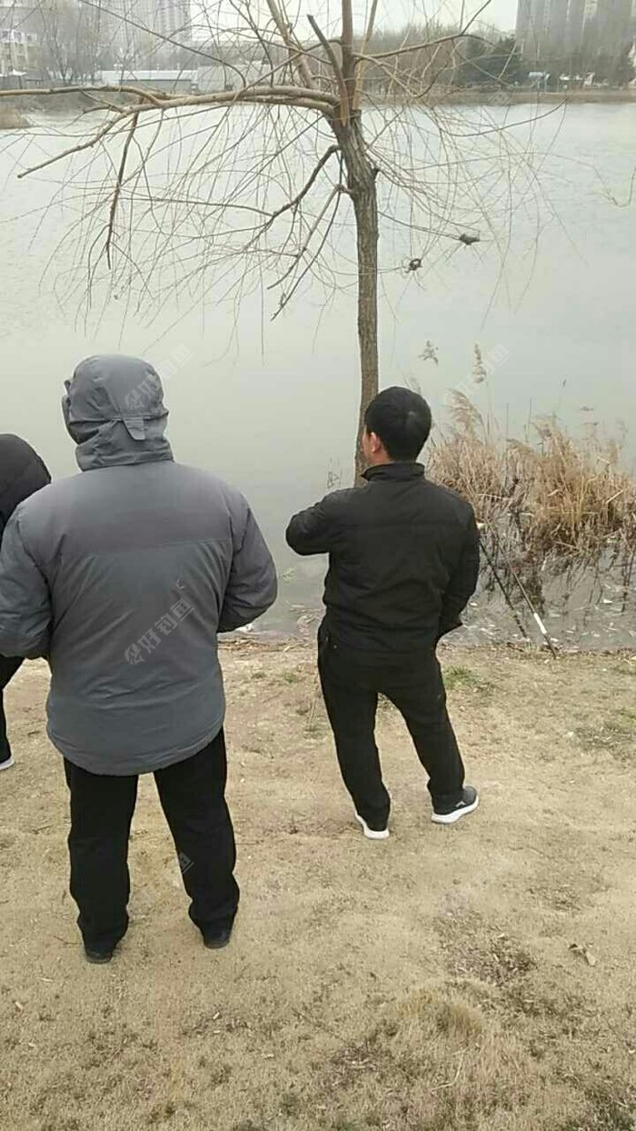 莲花大道明华丽对面