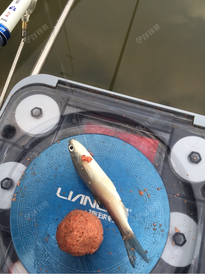 早知道伤心总是难免的,我又何苦一往情深--休渔