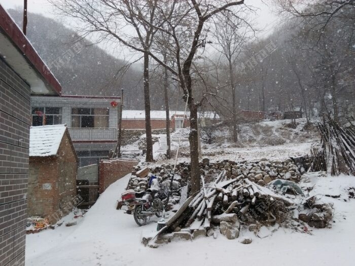 小雪下的挺带劲。下点儿雪,空气感觉湿润多了。