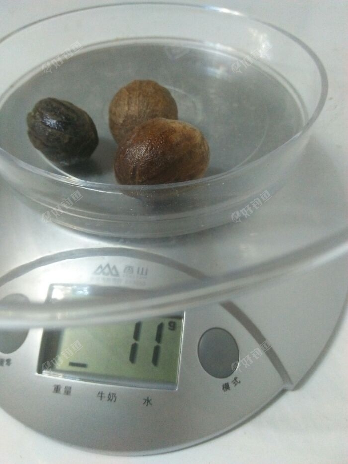 装瓶子里的时候记着砸碎。