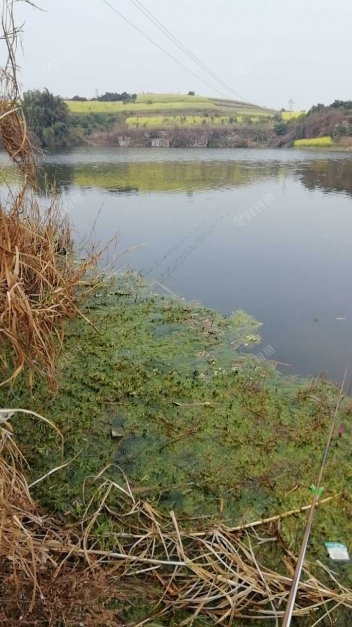 自贡荣溪河_荣溪河地址和电话信息 - 好钓鱼