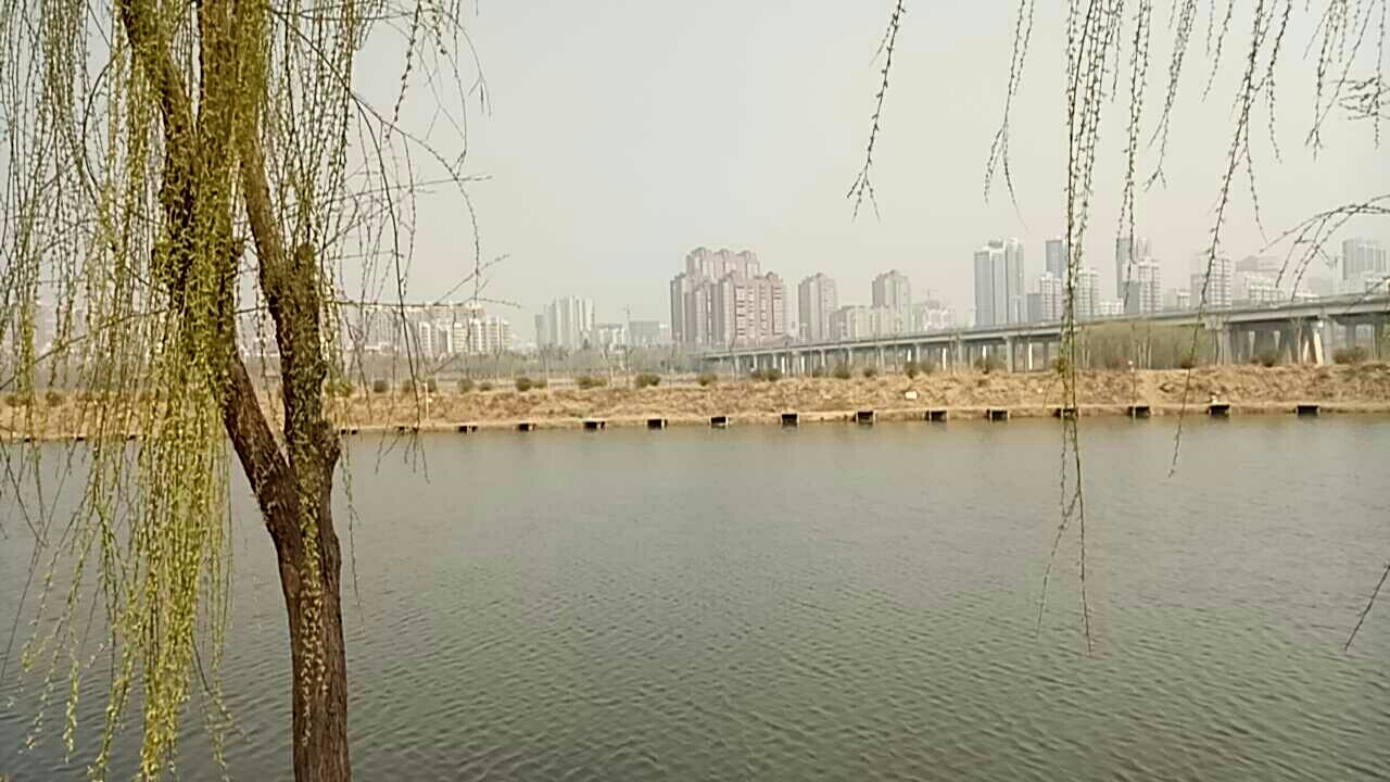 书法广场垂钓园