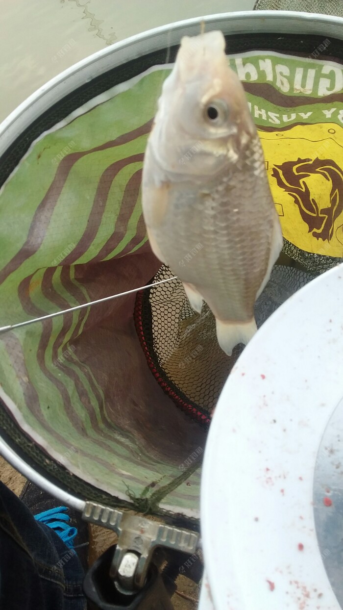 20180314_154232.jpeg