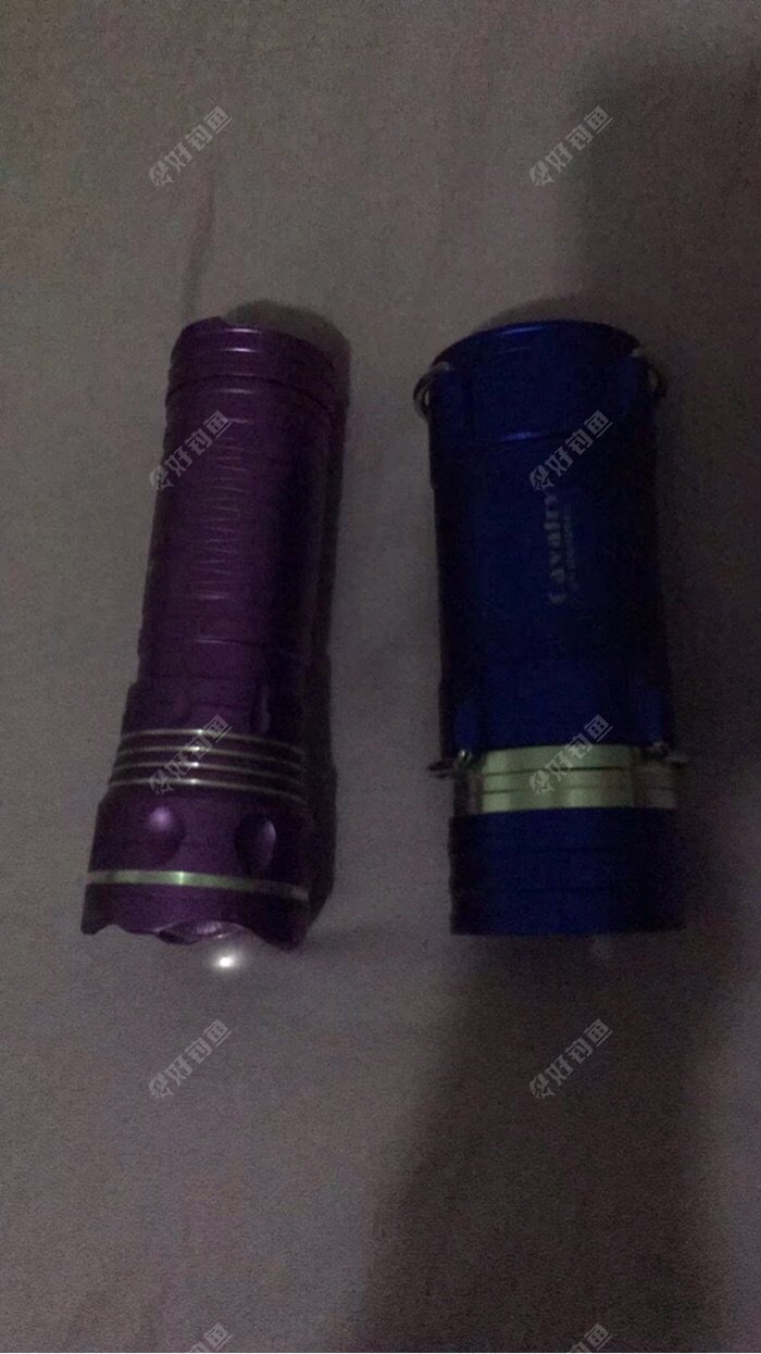 有了夜钓灯的照明,我就能抓口!