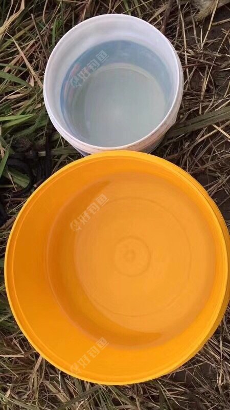 水很清澈吧!特别清澈!