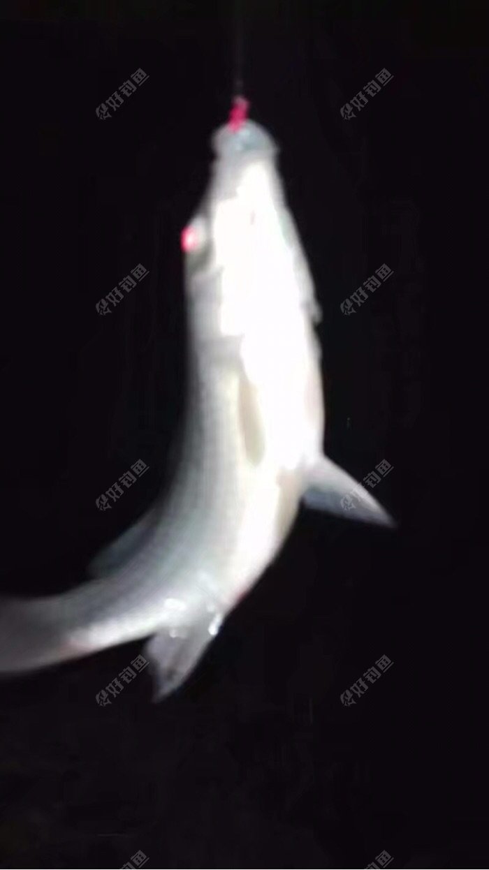 夜里拍照不好看!