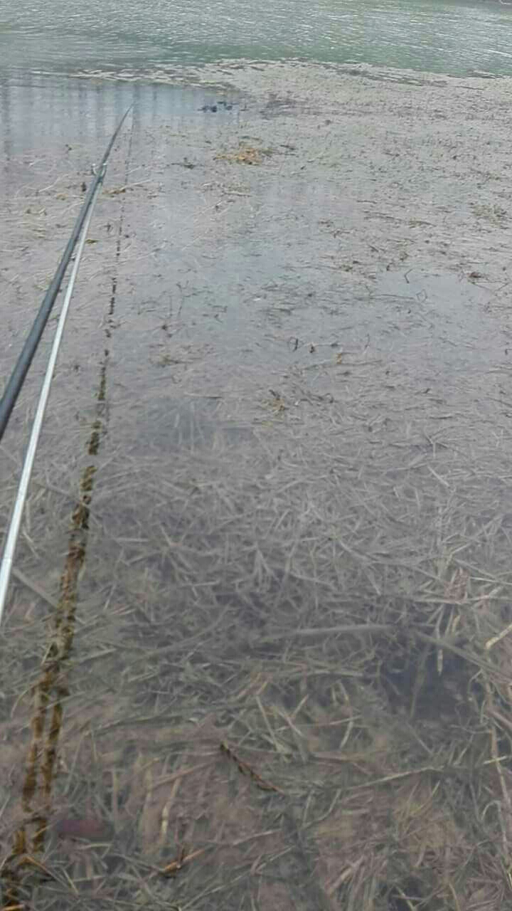 舞阳下里桥东200米