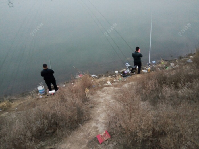 顺便问了问鱼获，都一般，