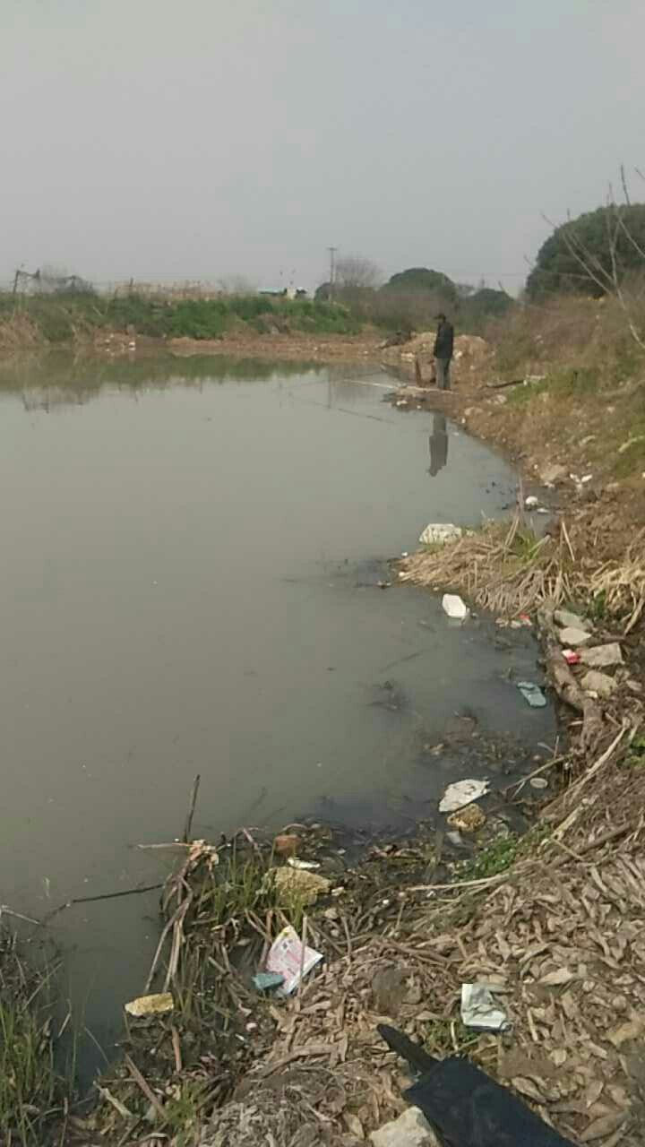 同津大道边上横桥路旁边