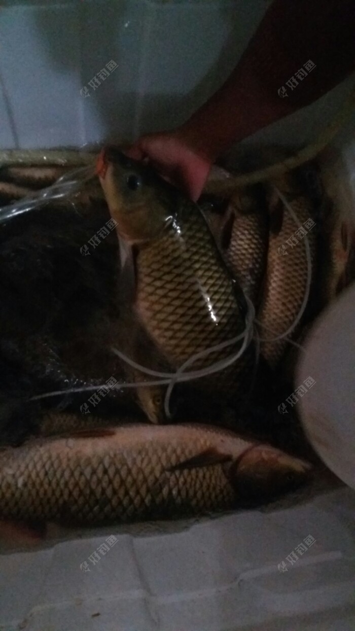 20180320_220133.jpeg