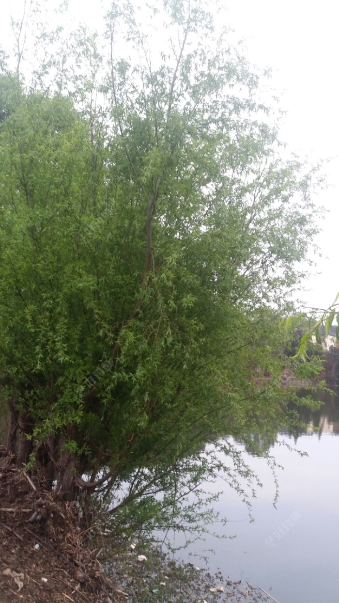 20180314_185456.jpeg