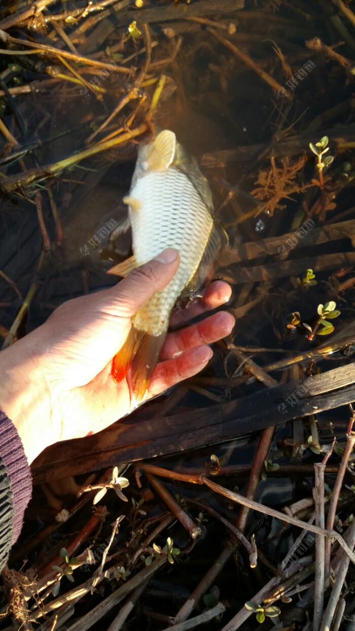 20180320_181502.jpeg