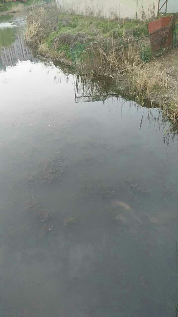 经二河殷行路段