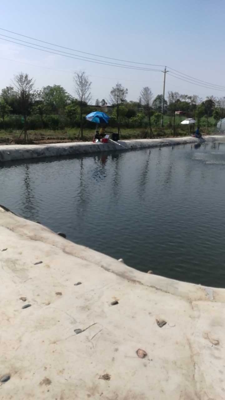 原始星球农业主题公园