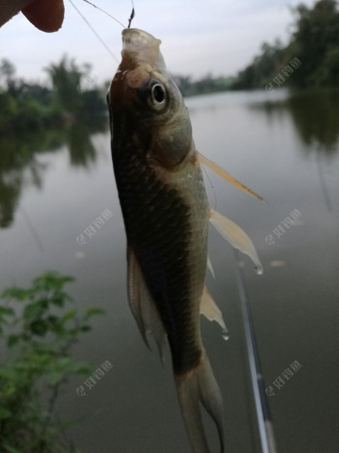 这是个新物种